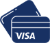 Visa Credit Cards Icon