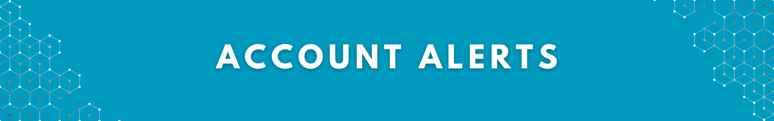 Set Up Account Alerts