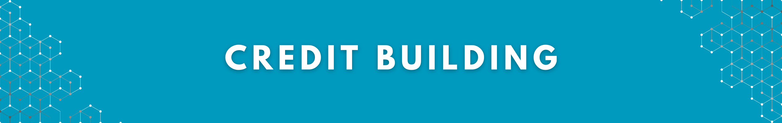 Credit building resources