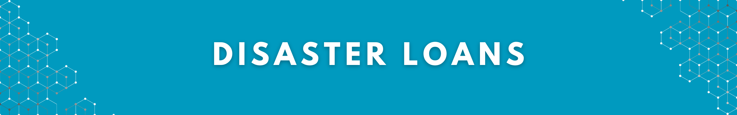 Disaster Relief Loans