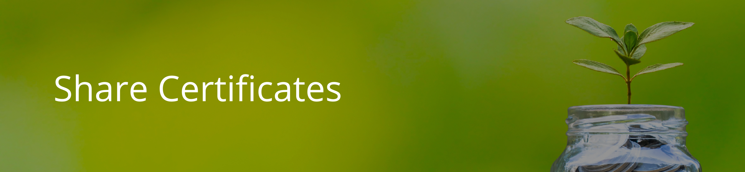 Share Certificates