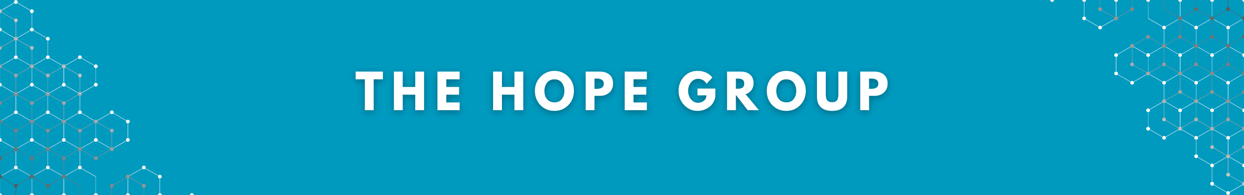 The Hope Group Scholarship Foundation